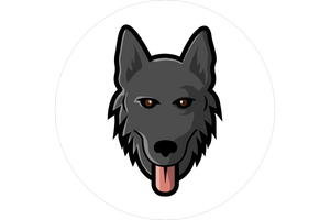 Image without description.