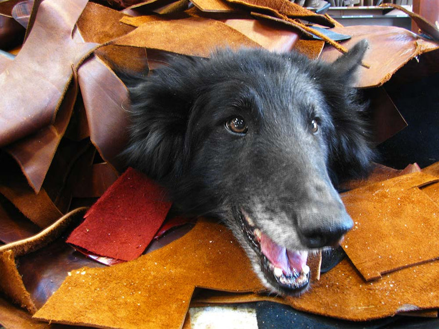 Premium Leather Scraps